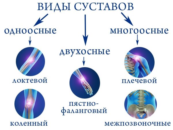 Изображение - Локтевой сустав таблица anatomiya-sustavov-2